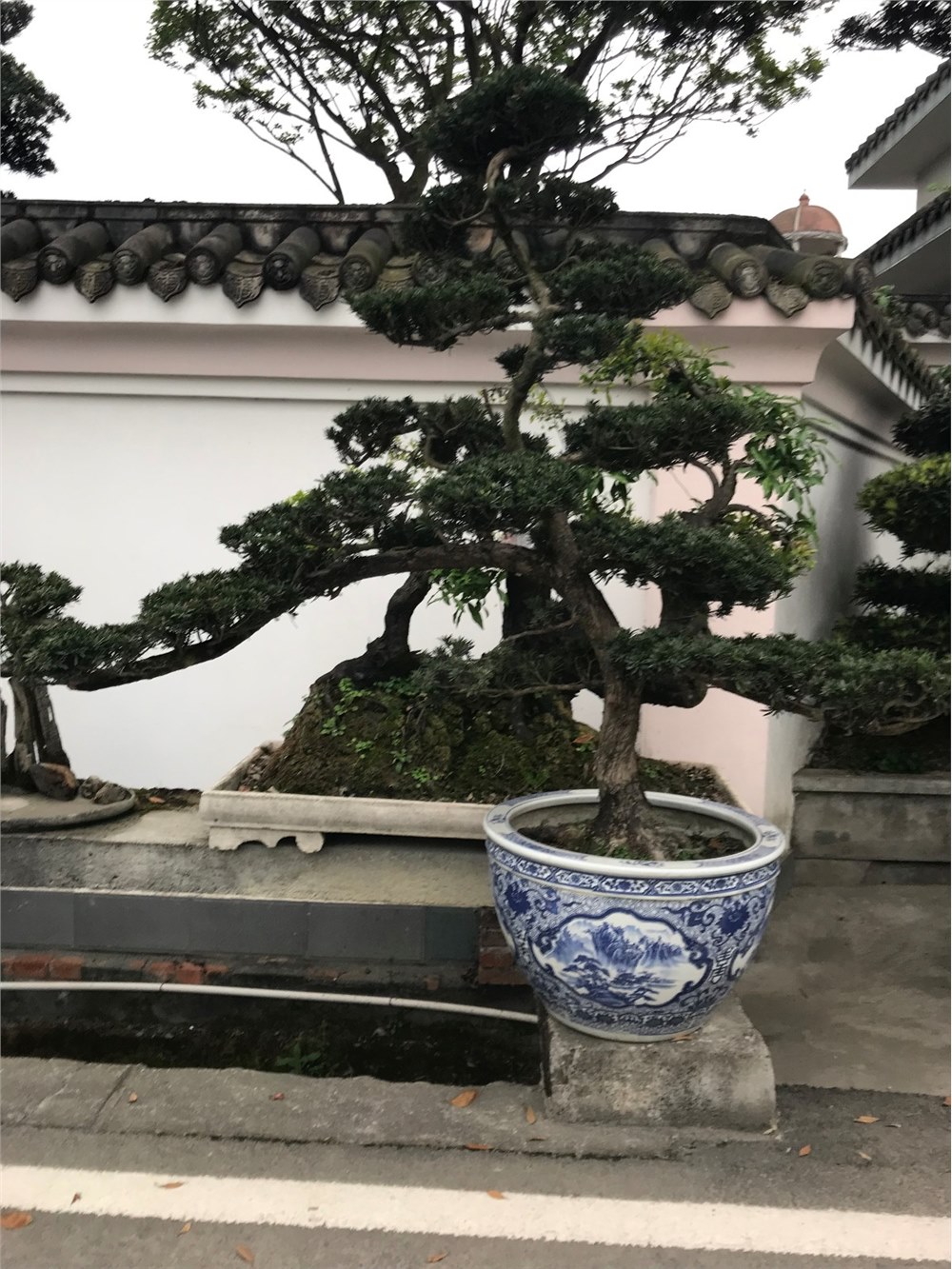 罗汉造型